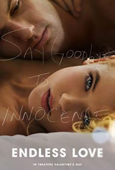 Endless Love (Sonsuz Aşk) 2014 izle