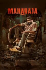 Maharaja 2024 izle