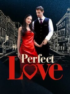 Perfect Love izle