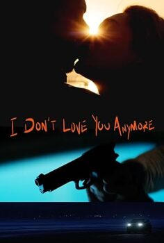 I Dont Love You Anymore